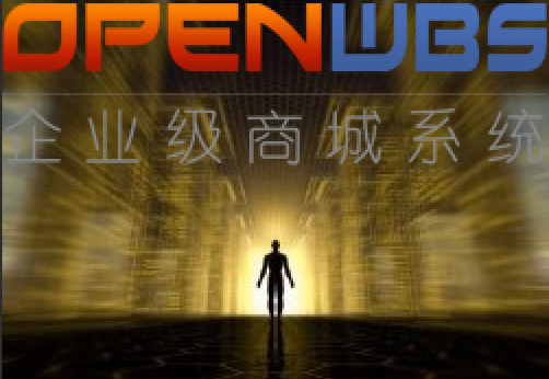 如何全面籌備建設(shè)手機(jī)商城網(wǎng)站系統(tǒng)